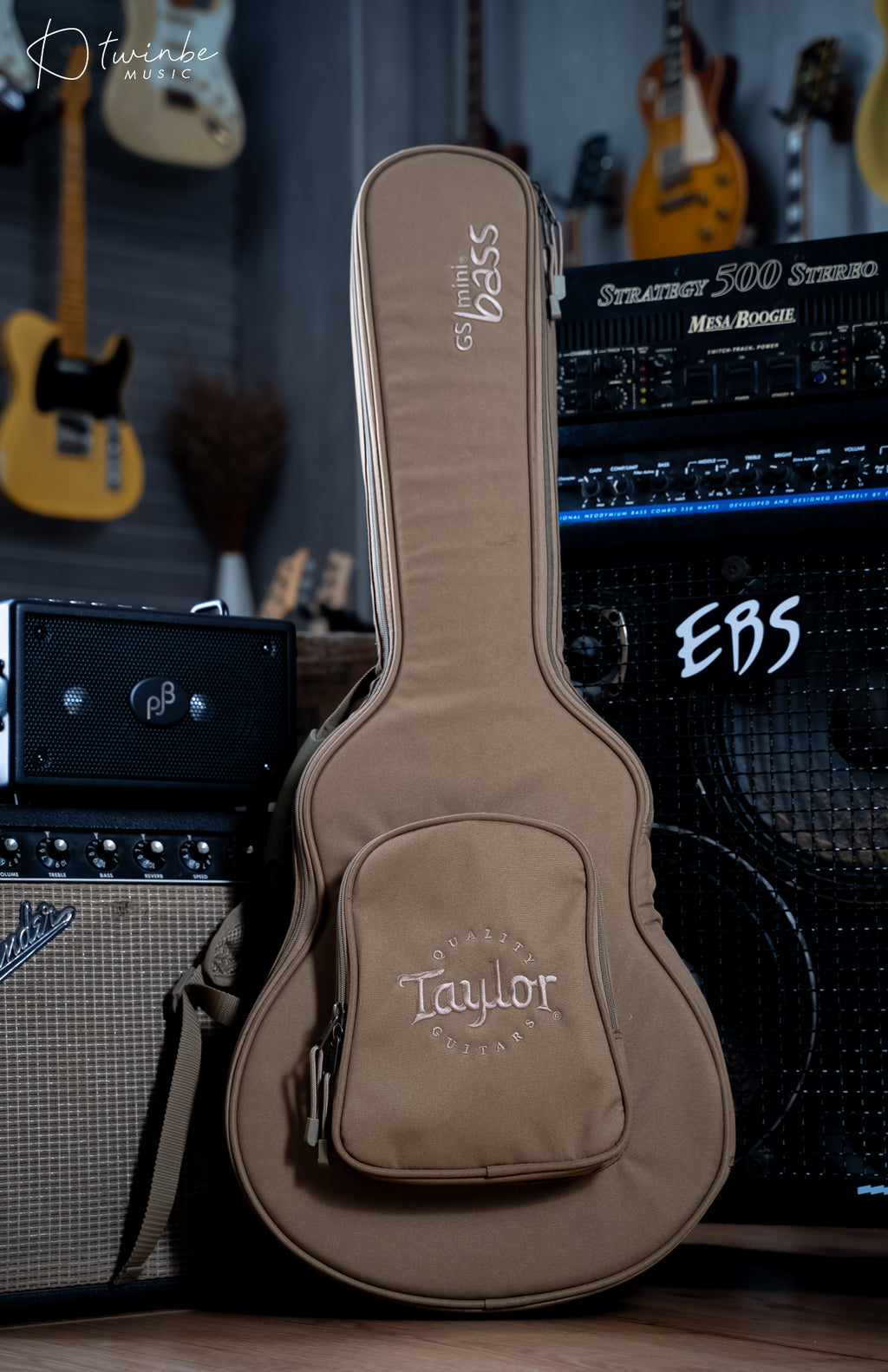TAYLOR GS MINI-E ACOUSTIC BASS