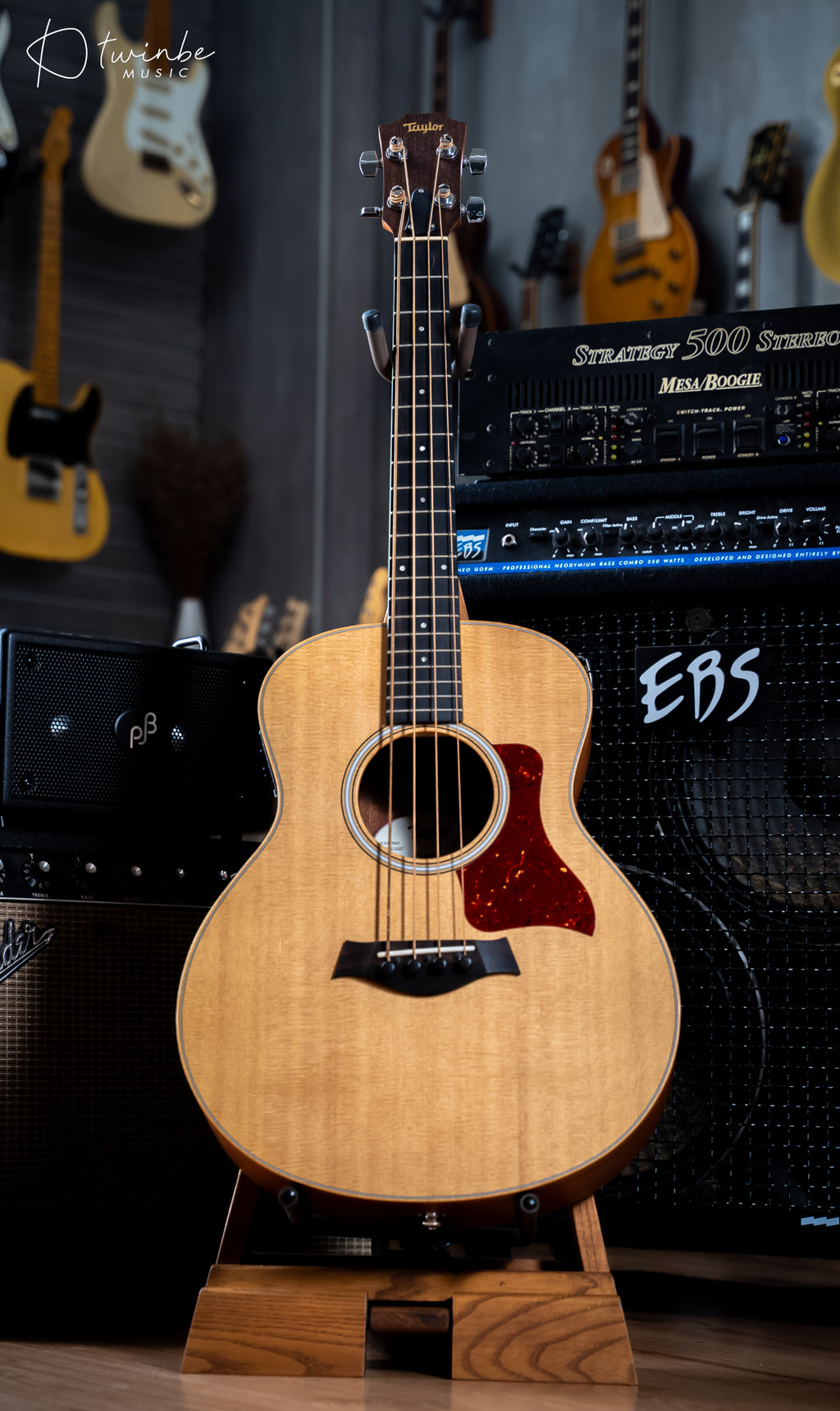 TAYLOR GS MINI-E ACOUSTIC BASS