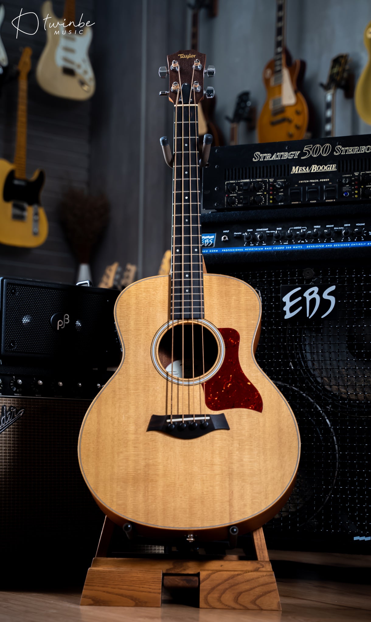 TAYLOR GS MINI-E ACOUSTIC BASS