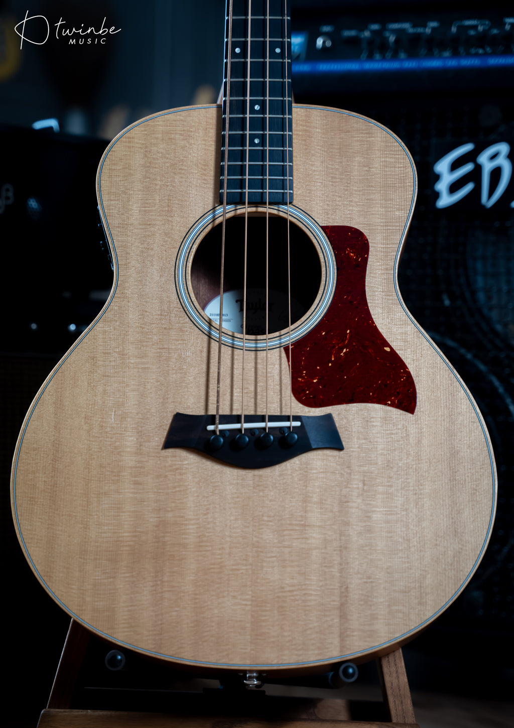 TAYLOR GS MINI-E ACOUSTIC BASS