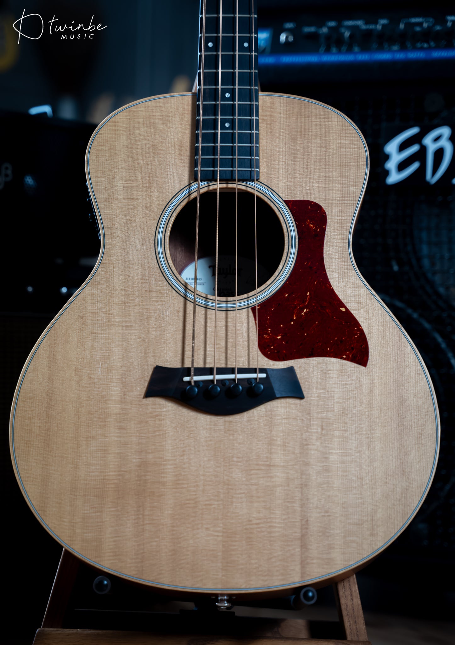 TAYLOR GS MINI-E ACOUSTIC BASS
