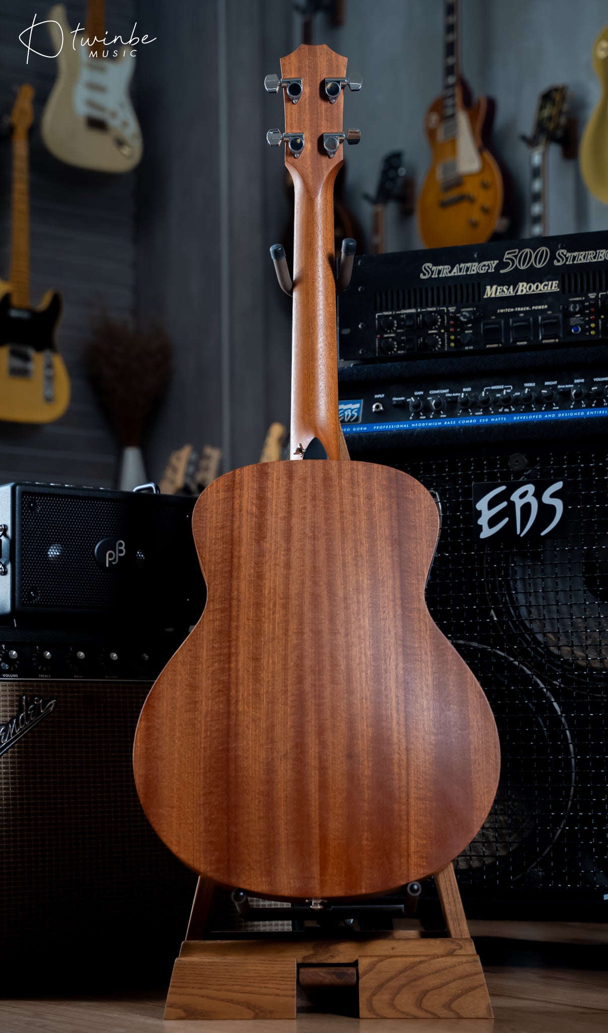 TAYLOR GS MINI-E ACOUSTIC BASS
