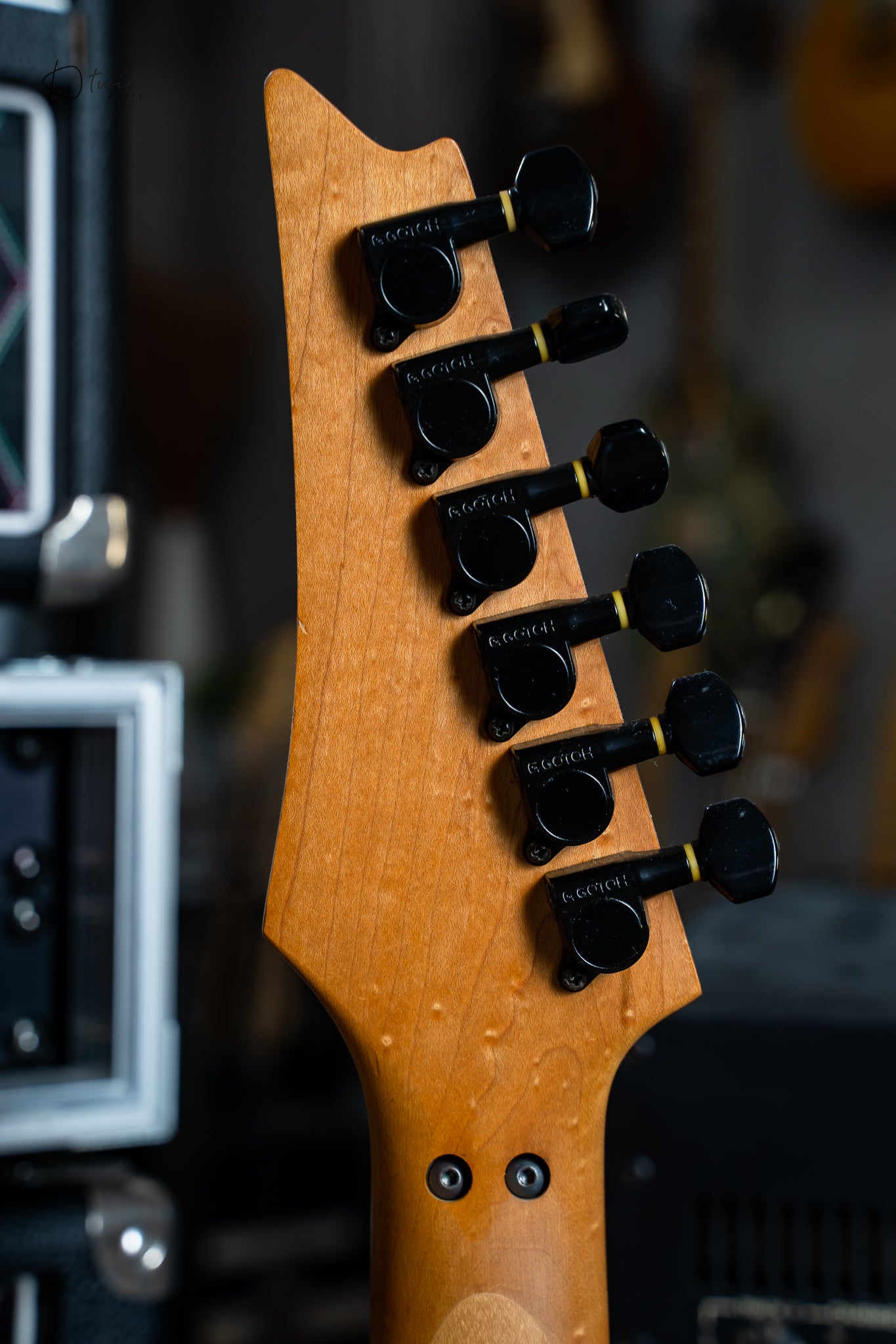 Ibanez JEM77-FP Steve Vai Signature (Floral Pattern)