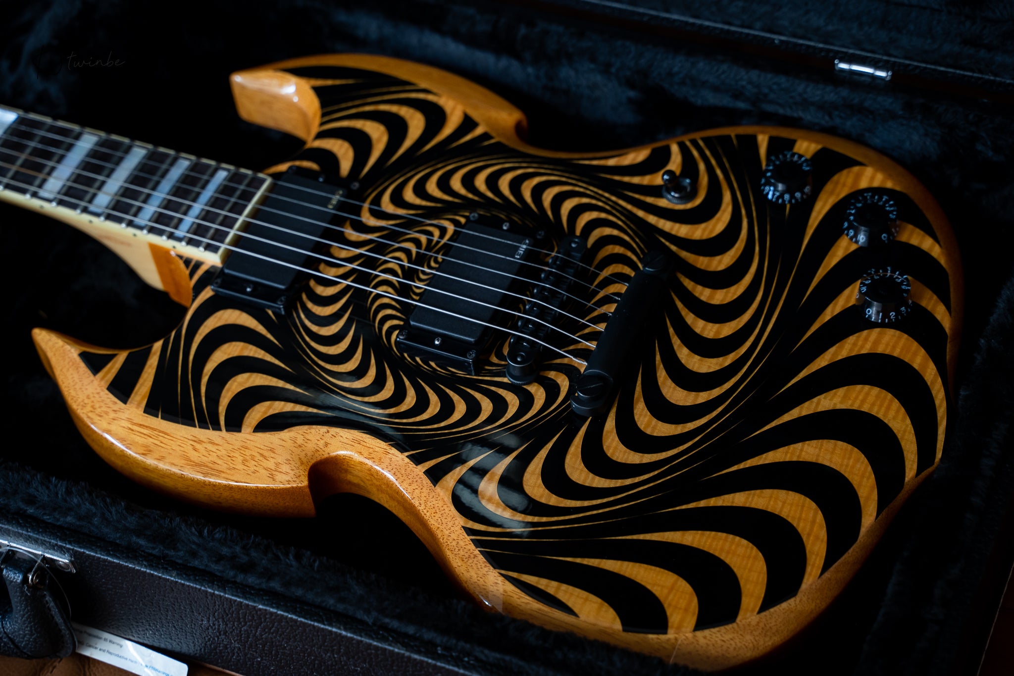 Wylde Audio Barbarian Psychic Bullseye
