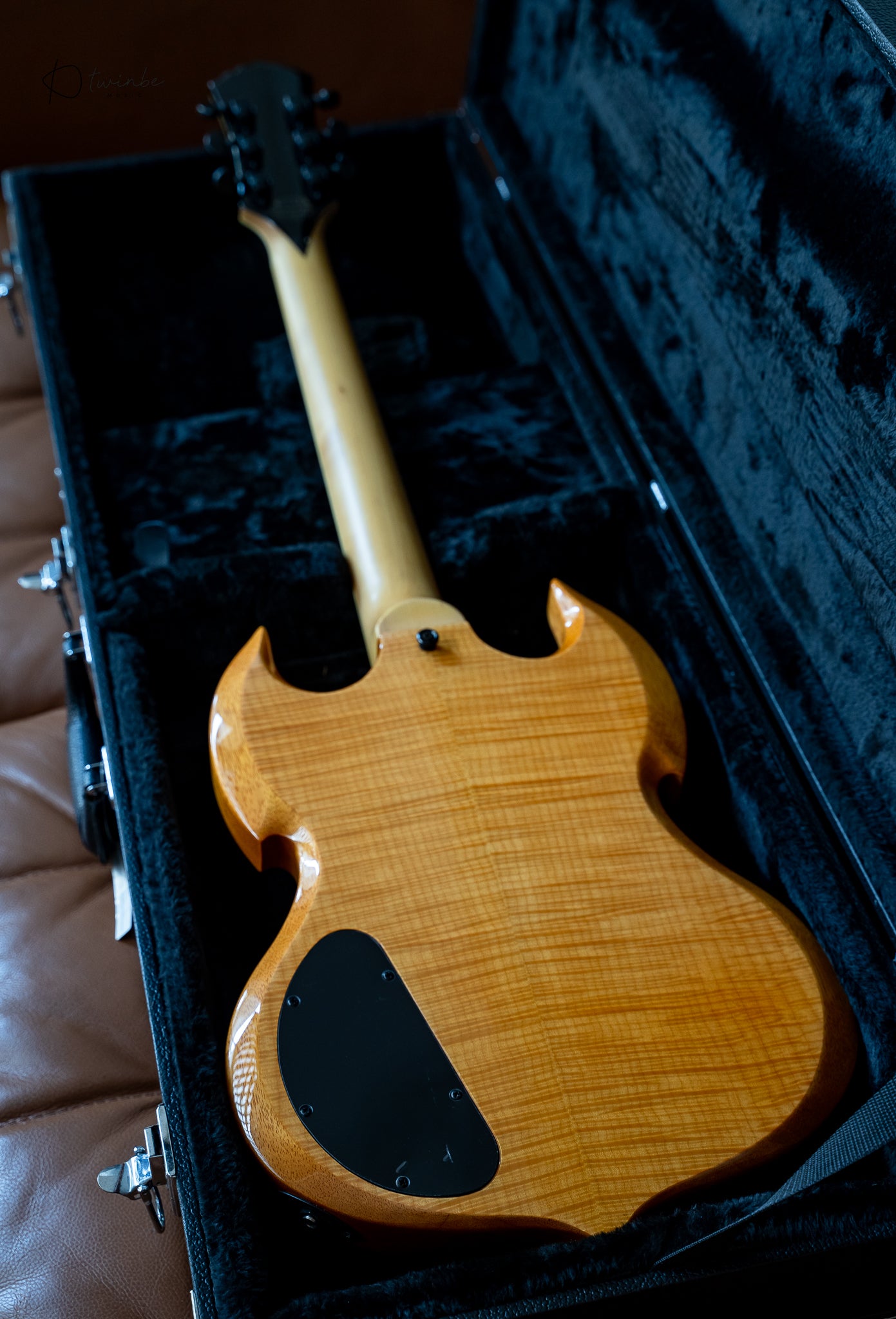 Wylde Audio Barbarian Psychic Bullseye