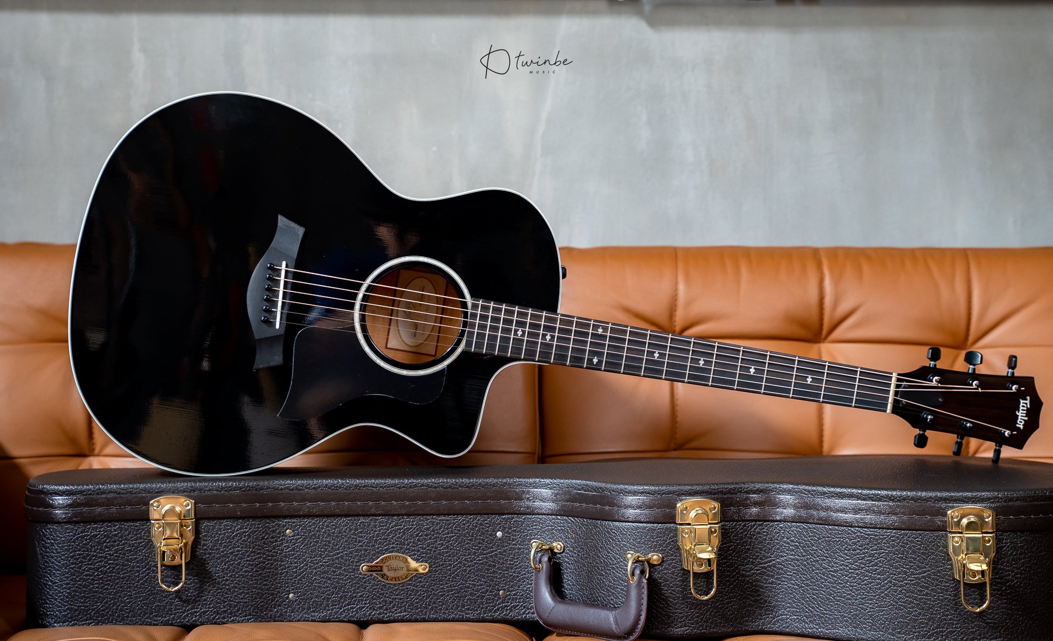 Taylor 214ce-BLK DLX