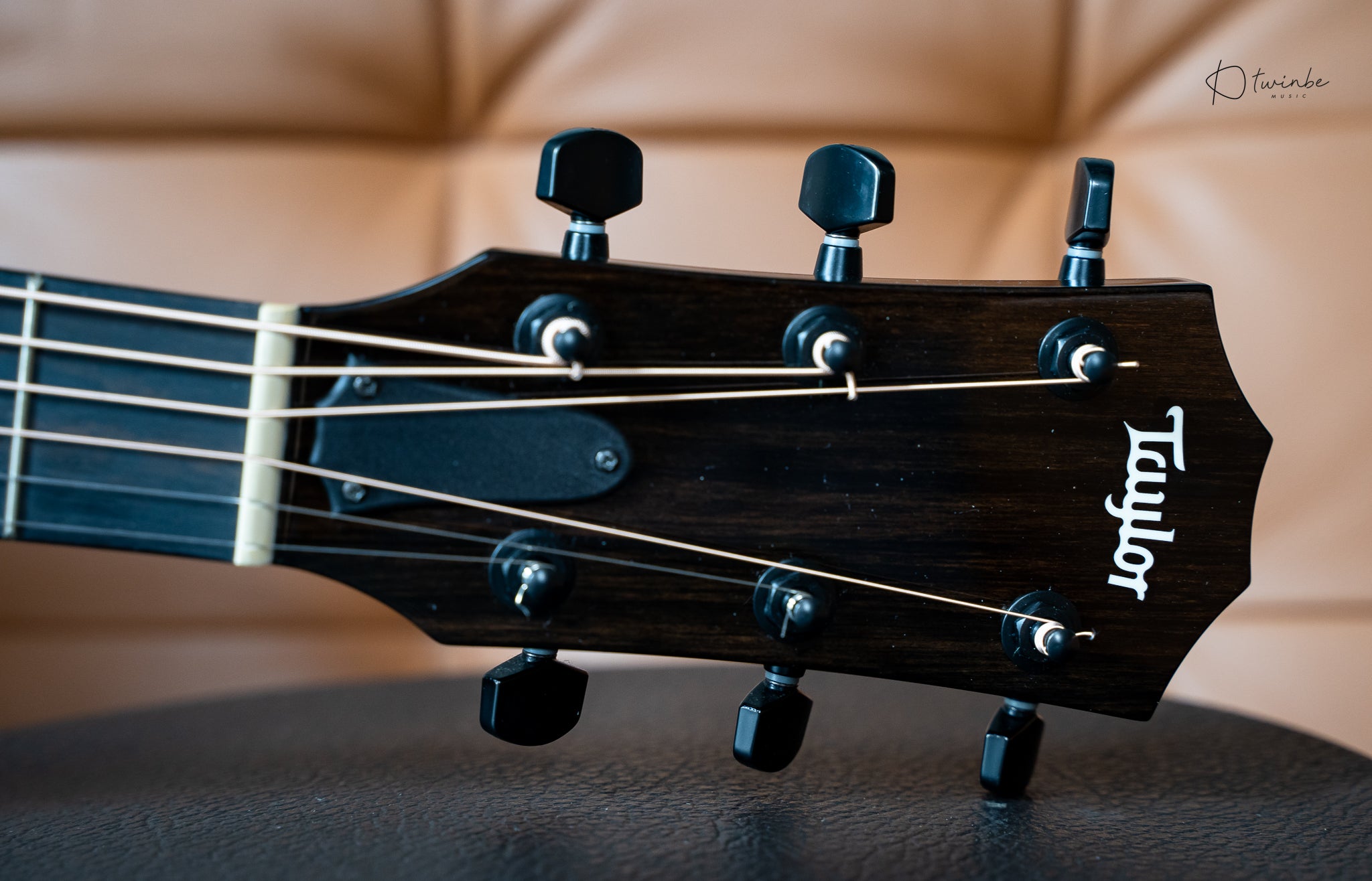 Taylor 214ce-BLK DLX