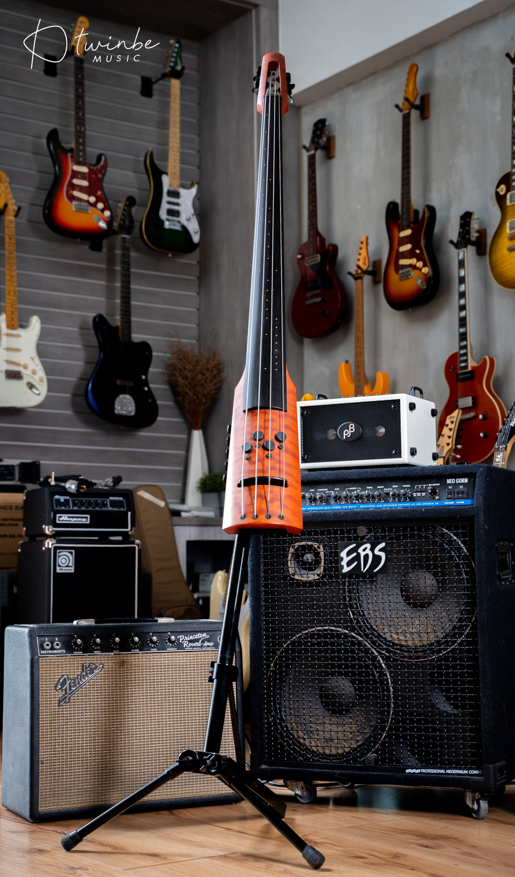 NS Design CR4M Upright Bass - Amber