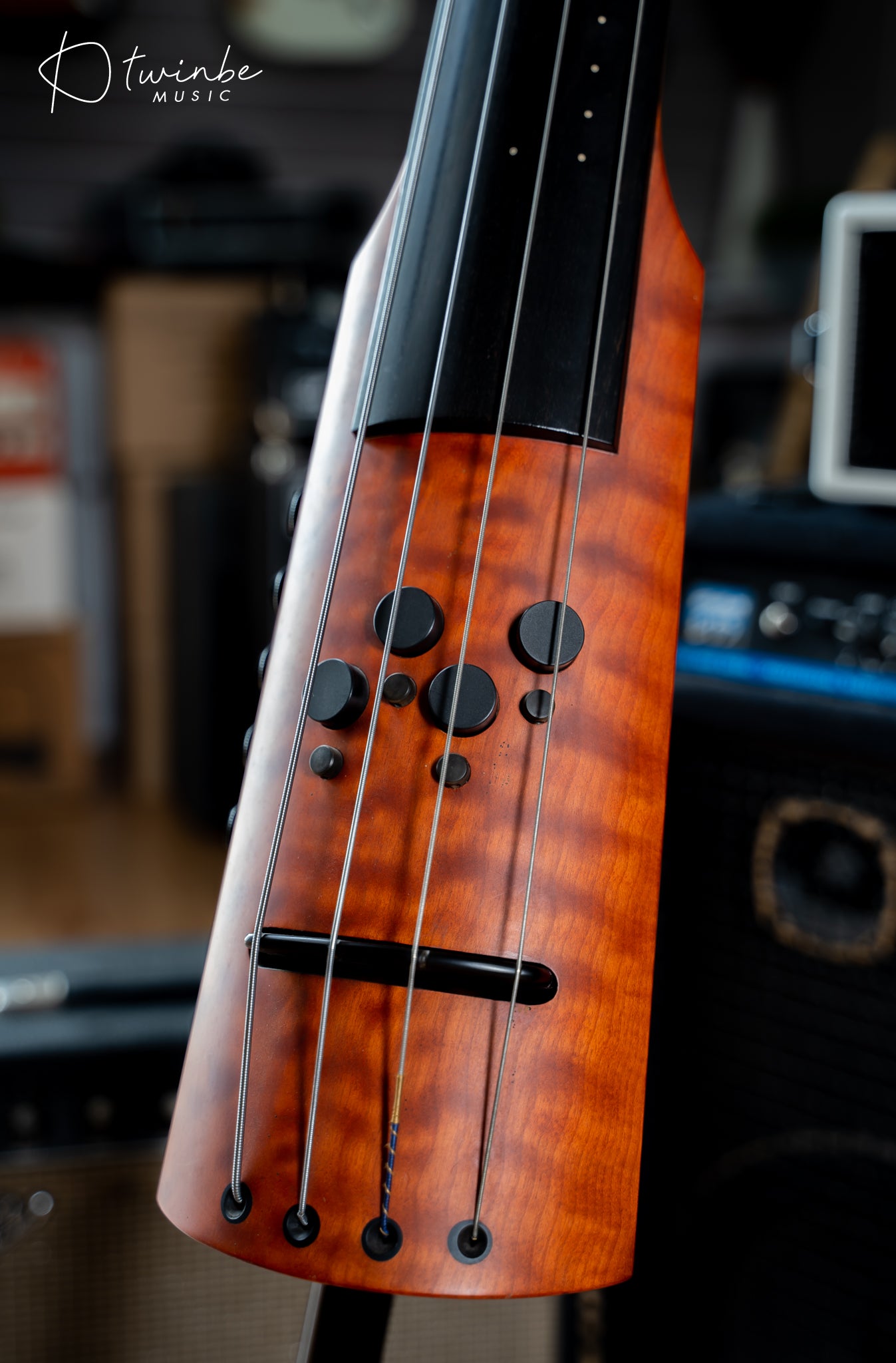 NS Design CR4M Upright Bass - Amber