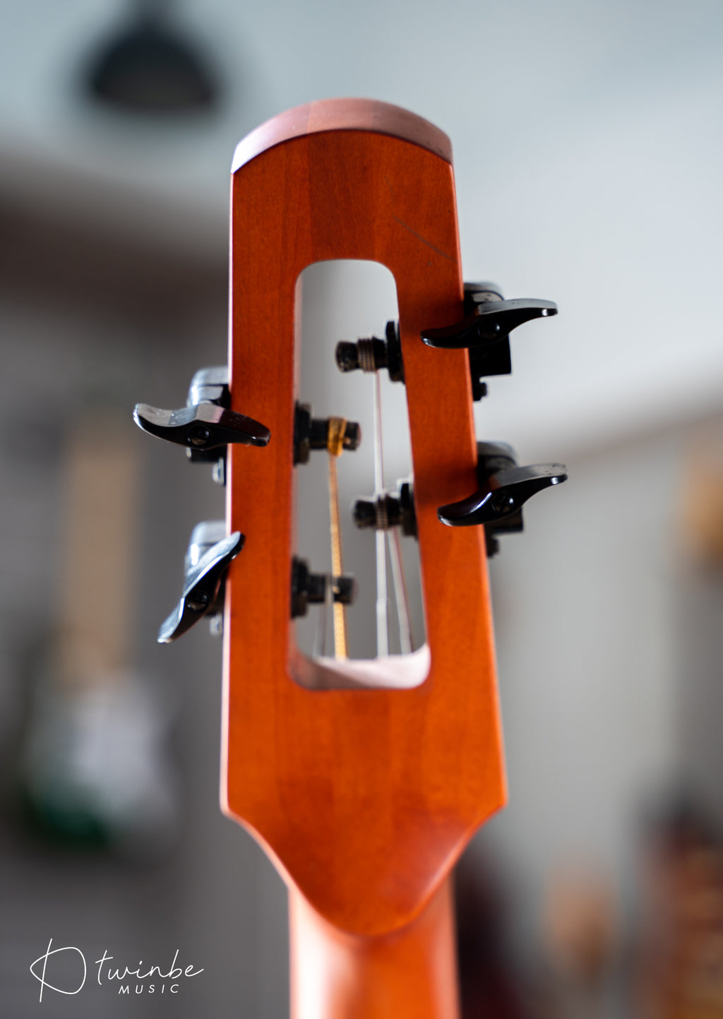 NS Design CR4M Upright Bass - Amber