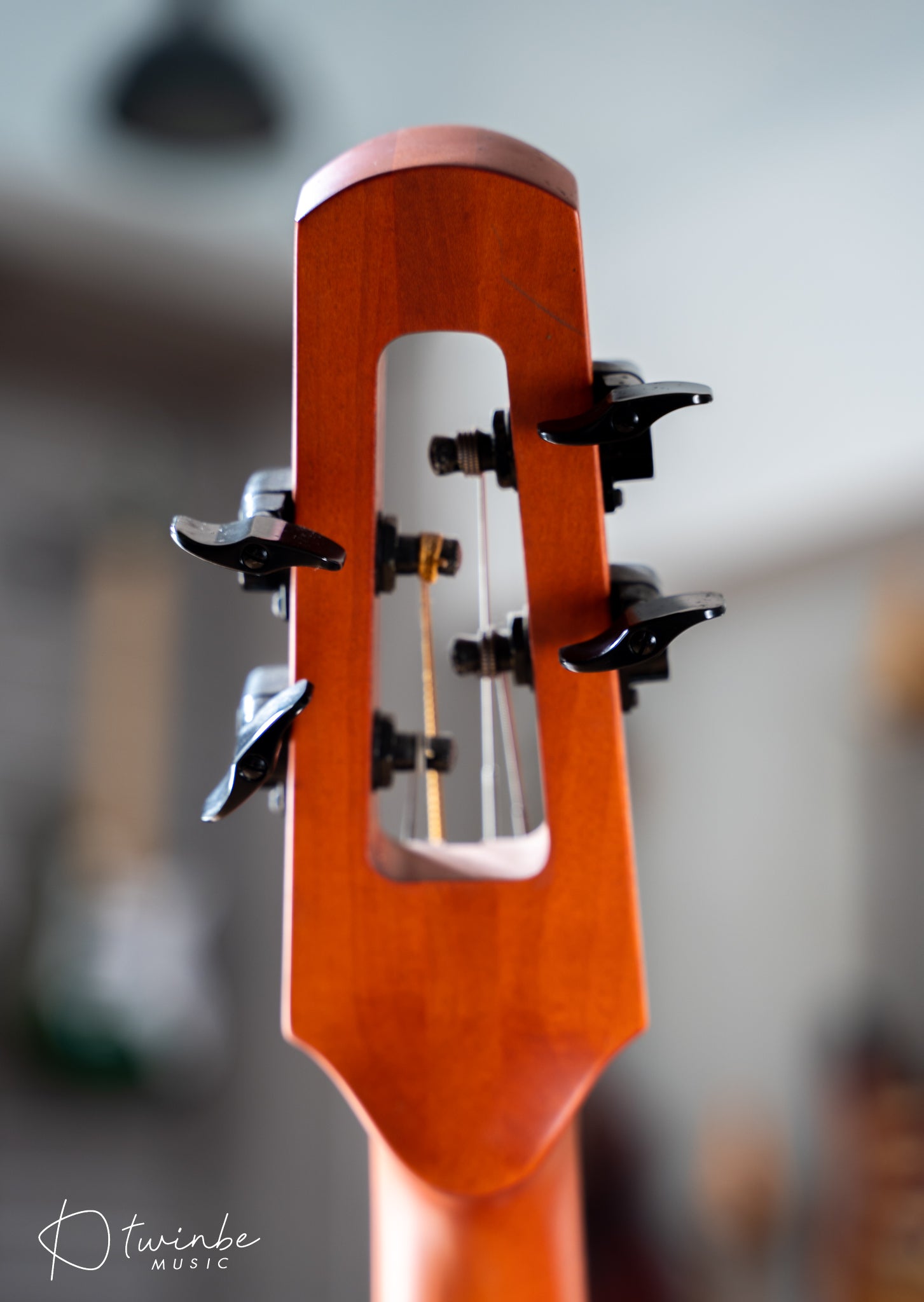 NS Design CR4M Upright Bass - Amber