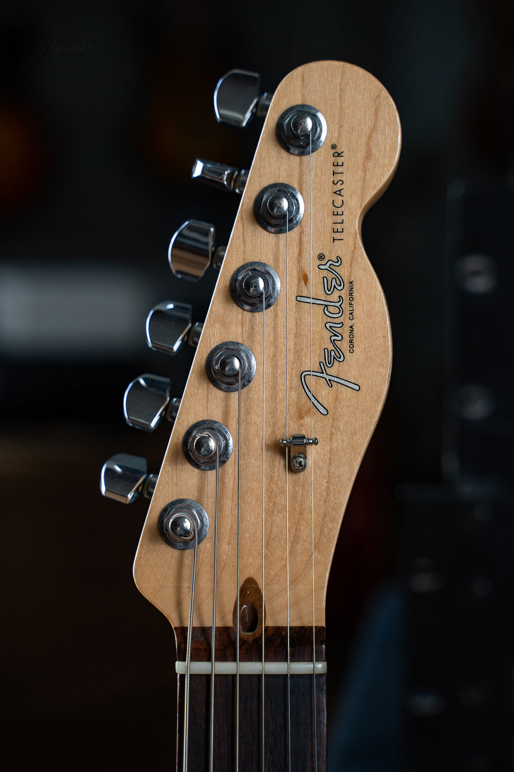 Fender American Pro I Telecaster Natural