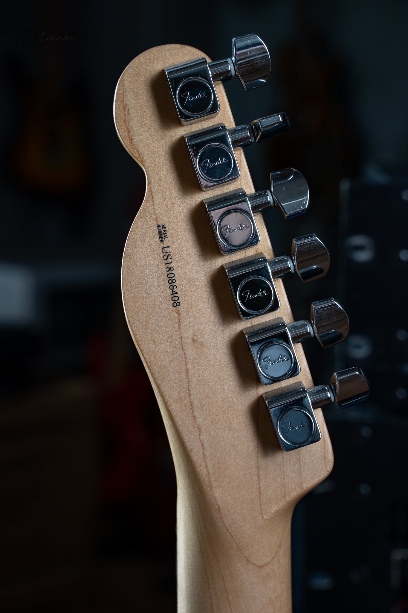 Fender American Pro I Telecaster Natural