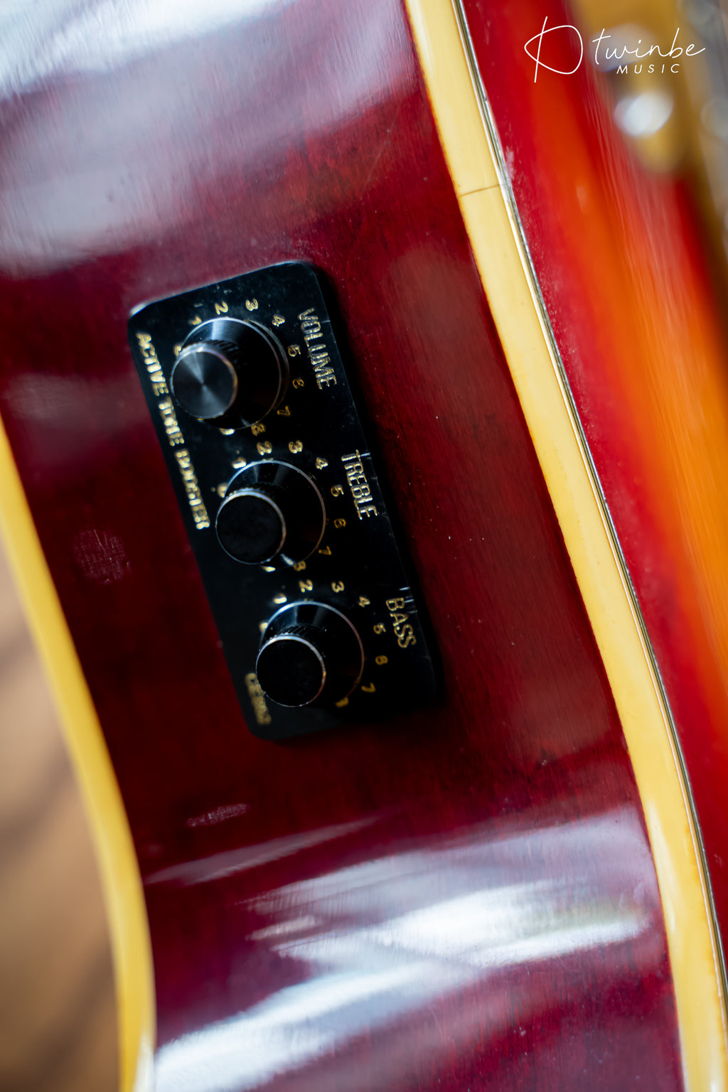 Kramer Ferrington Acoustic Bass Cherry Burst