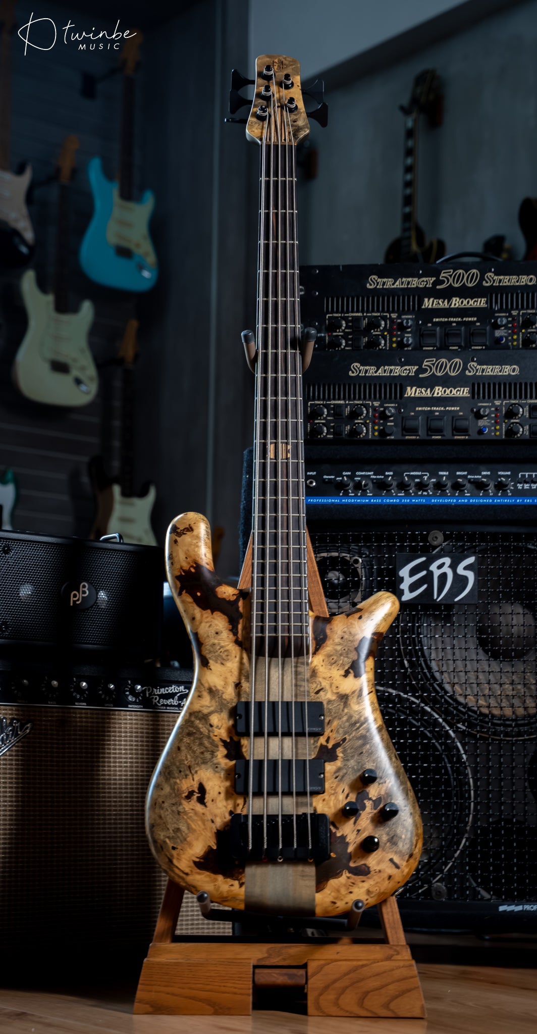 Spector NS-5XL Buckeye Burl Made in USA