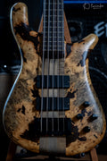 Spector NS-5XL Buckeye Burl Made in USA