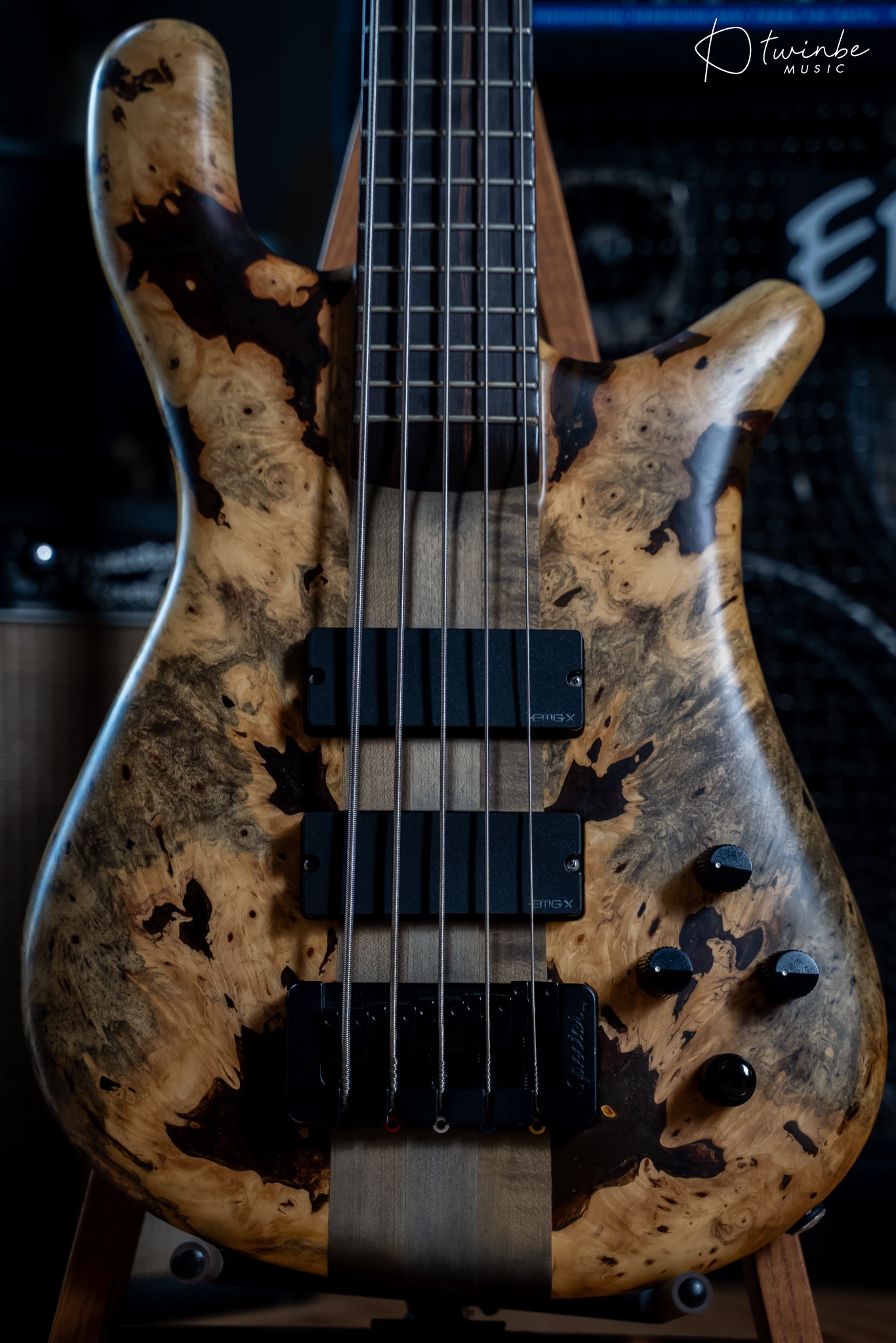 Spector NS-5XL Buckeye Burl Made in USA