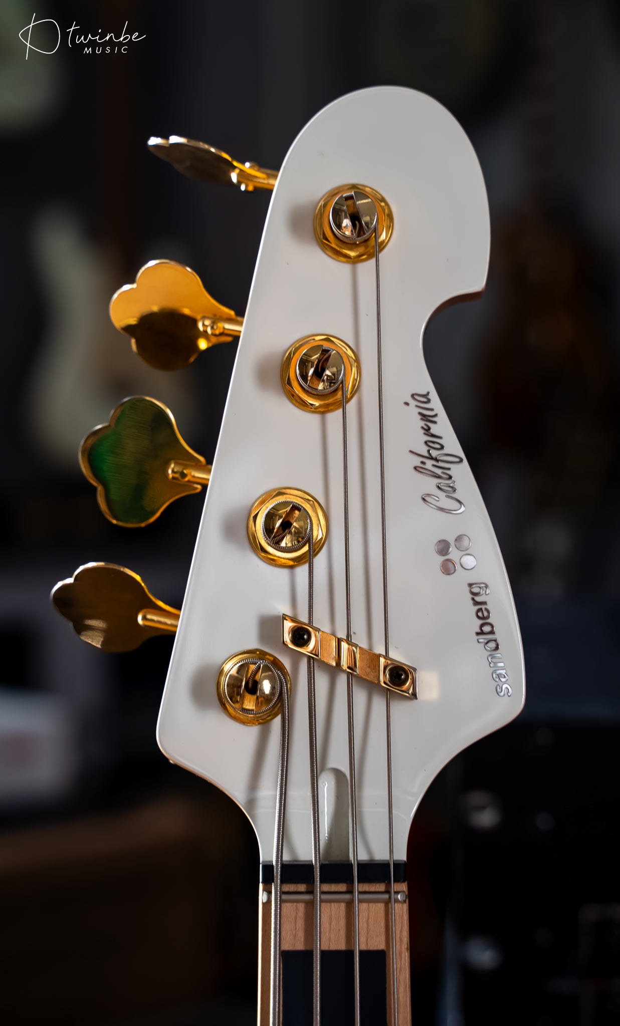 Sandberg California II VM 4 Matching Headstock