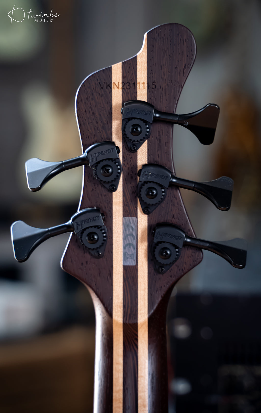 Mayones Viking 5 Strings Bass Transparent Dirty Ash Fade up violet