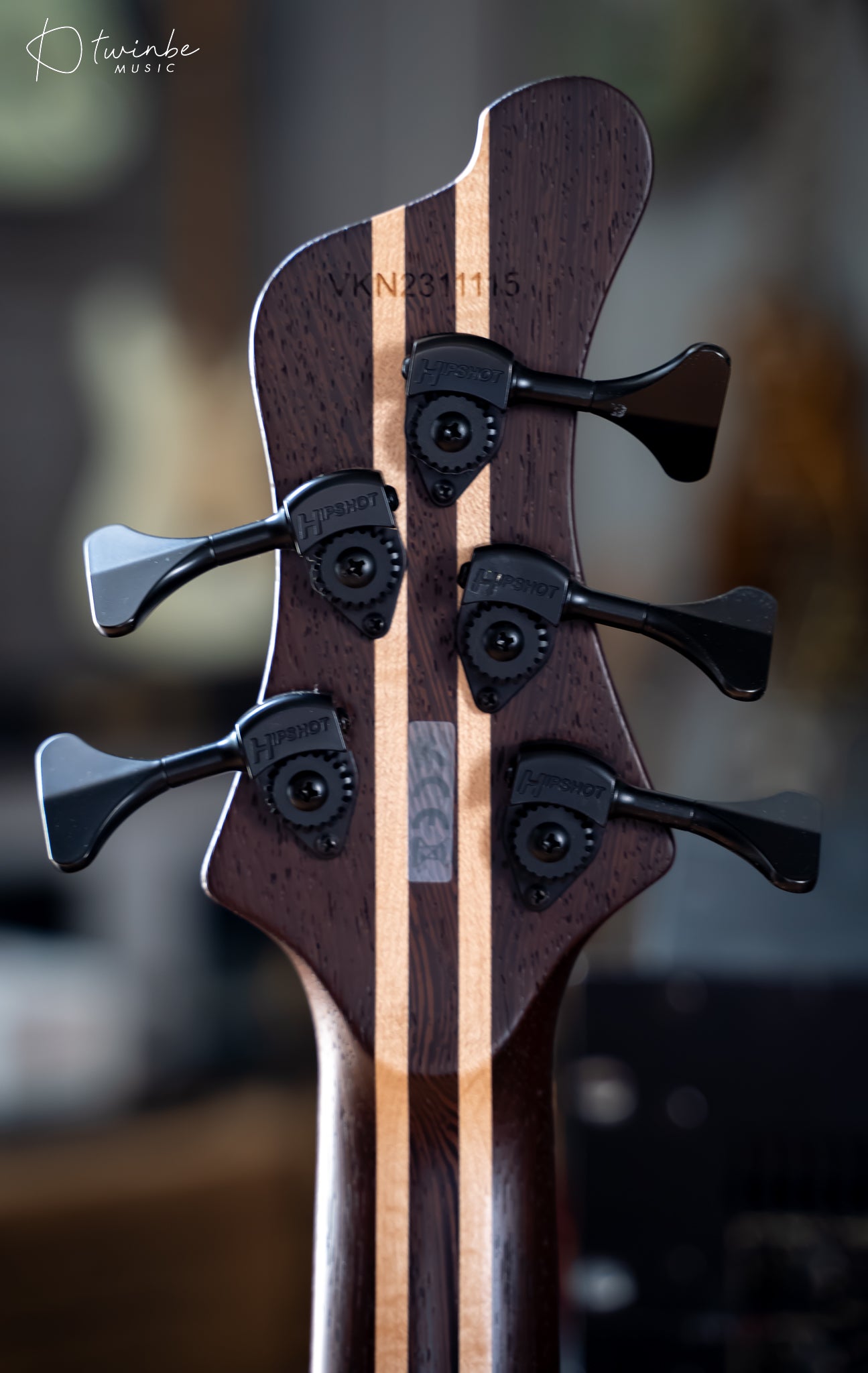 Mayones Viking 5 Strings Bass Transparent Dirty Ash Fade up violet