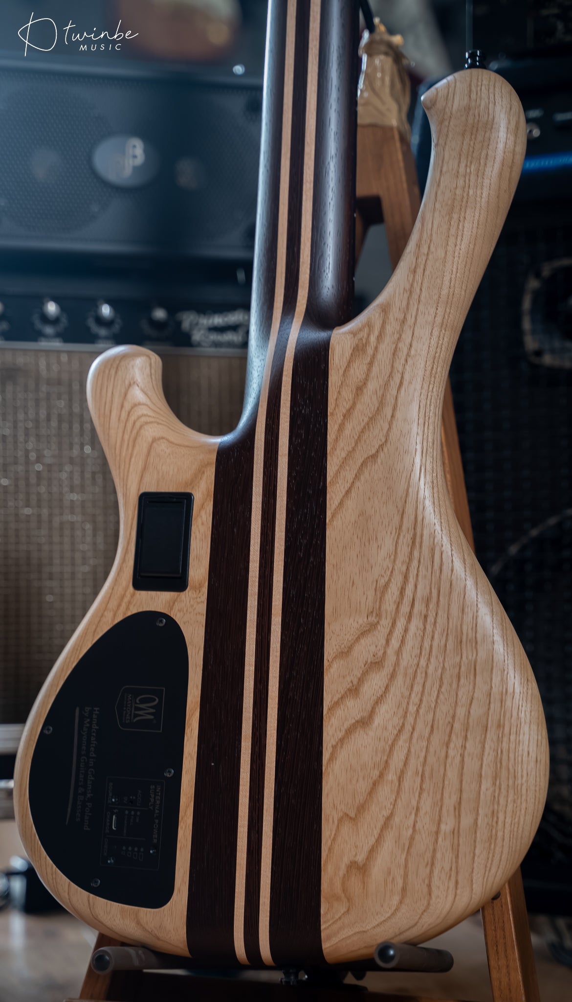 Mayones Viking 5 Strings Bass Transparent Dirty Ash Fade up violet