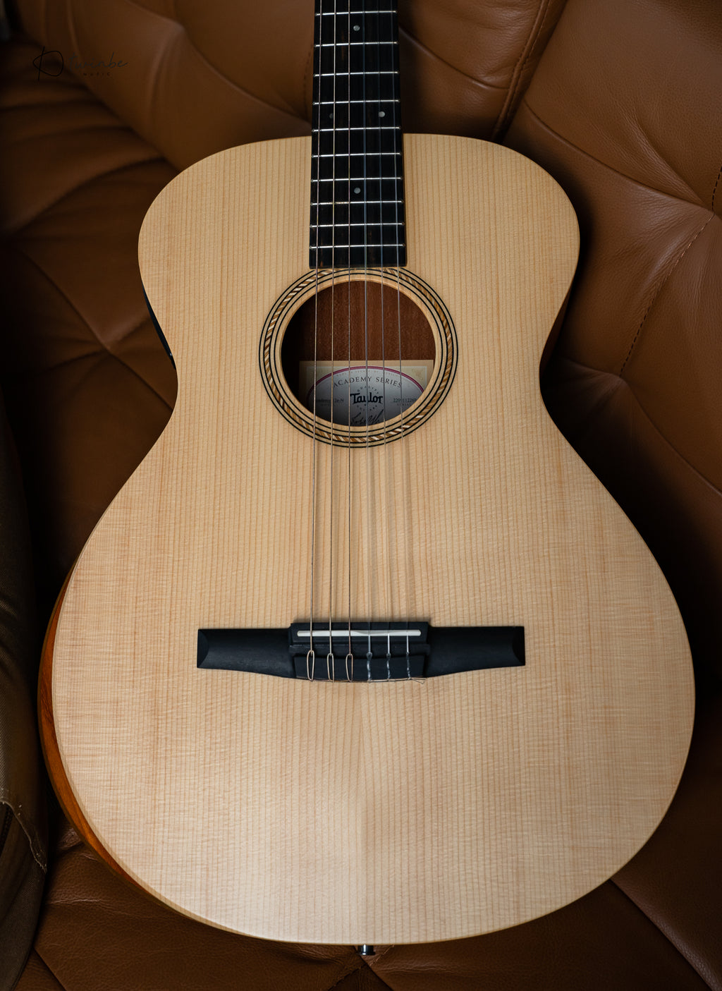Taylor Academy 12e Nylon