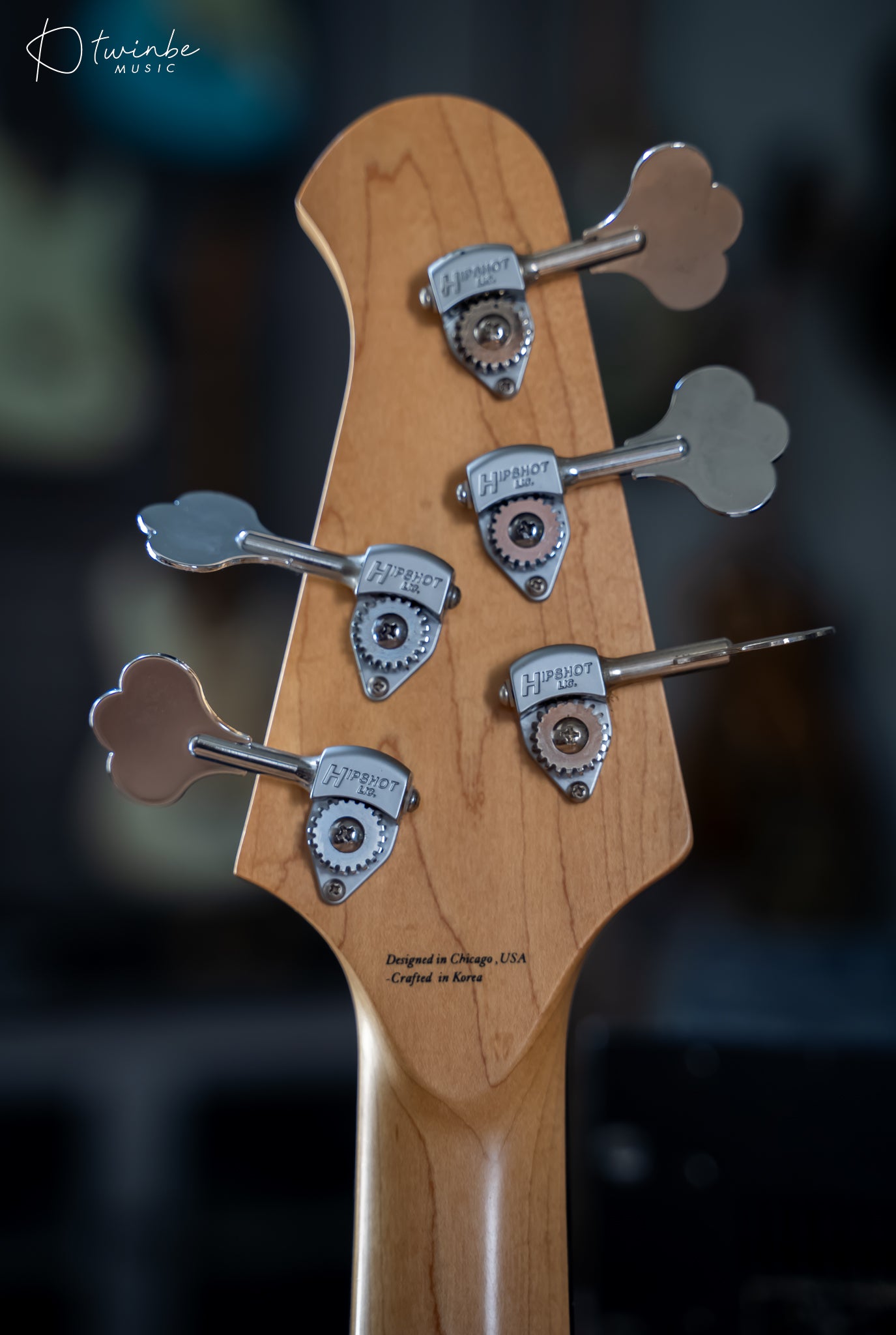Lakland 55-02 Standard Sunburst Finish Ebony LIned Fretless