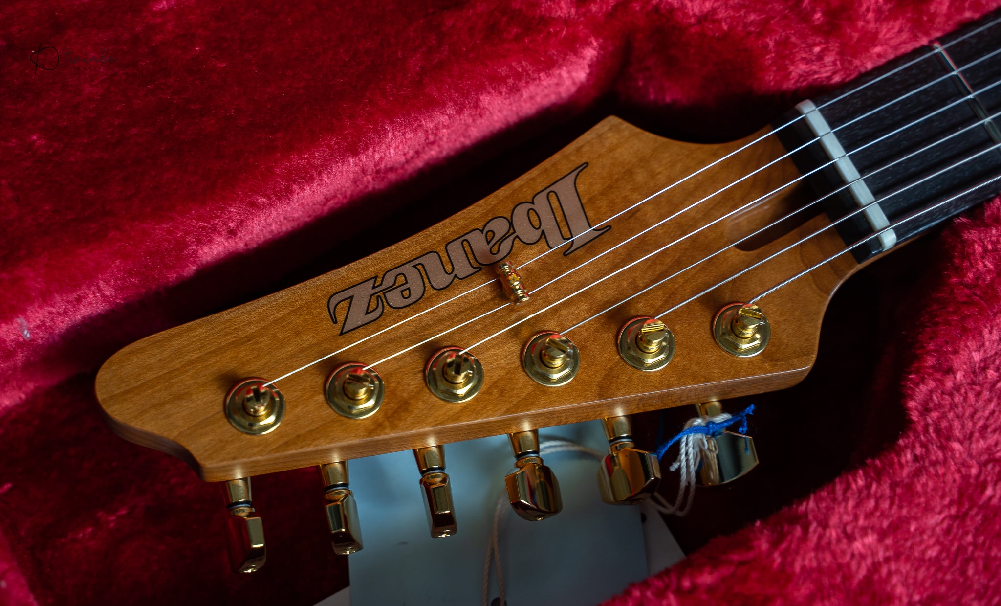 Ibanez GF1 Gaofunk Signature (New)