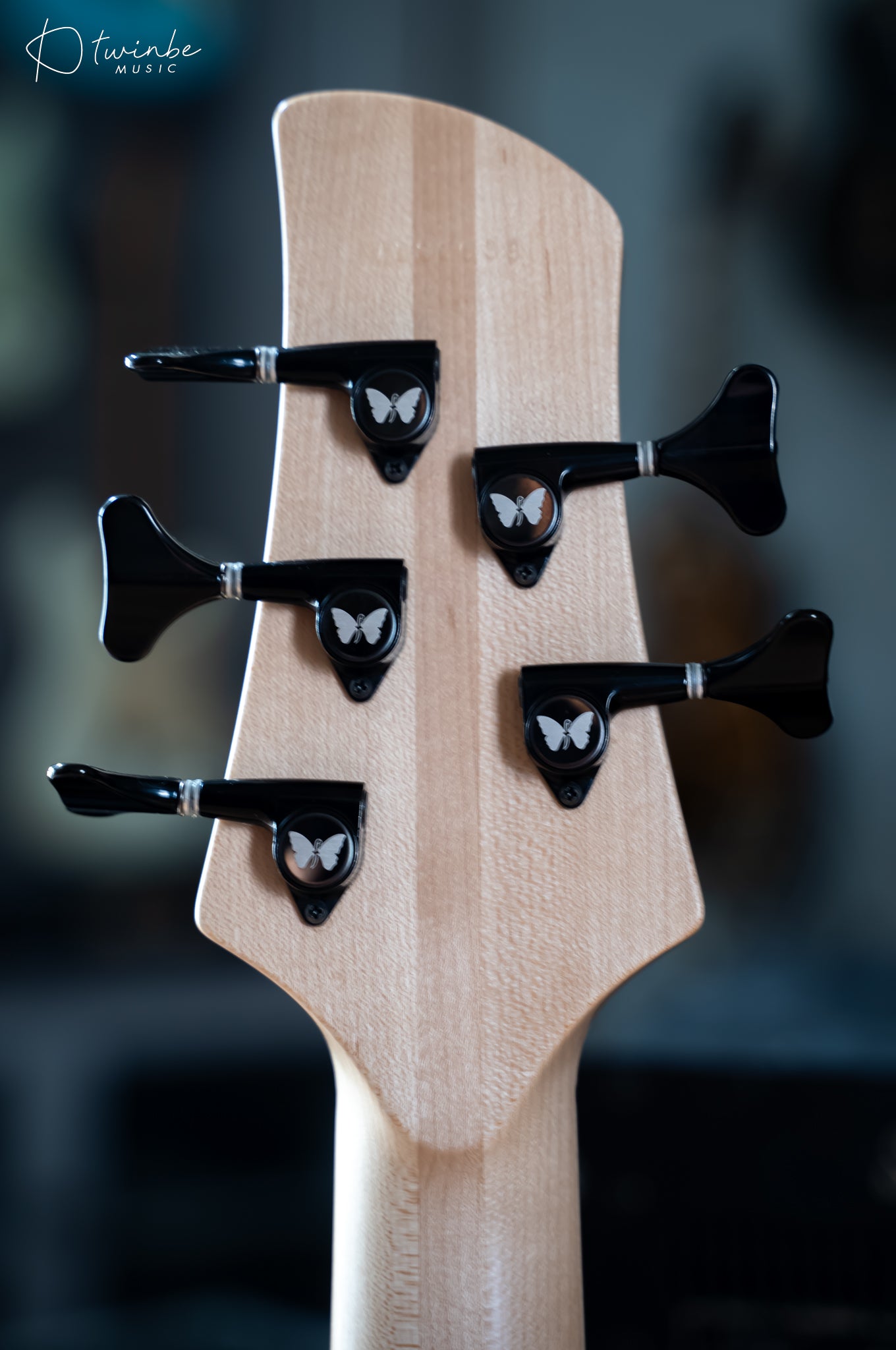 Fodera Emperor Standard 5 Essence Ash