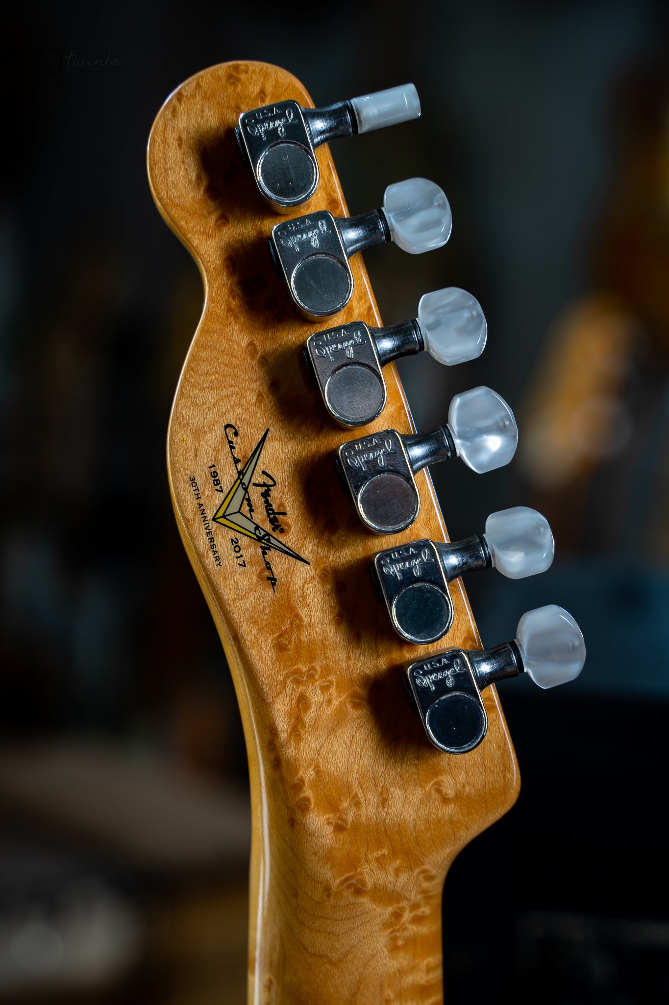 Fender Custom Shop Wildwood 10 Artisan Caballo Tono Ligero Telecaster
