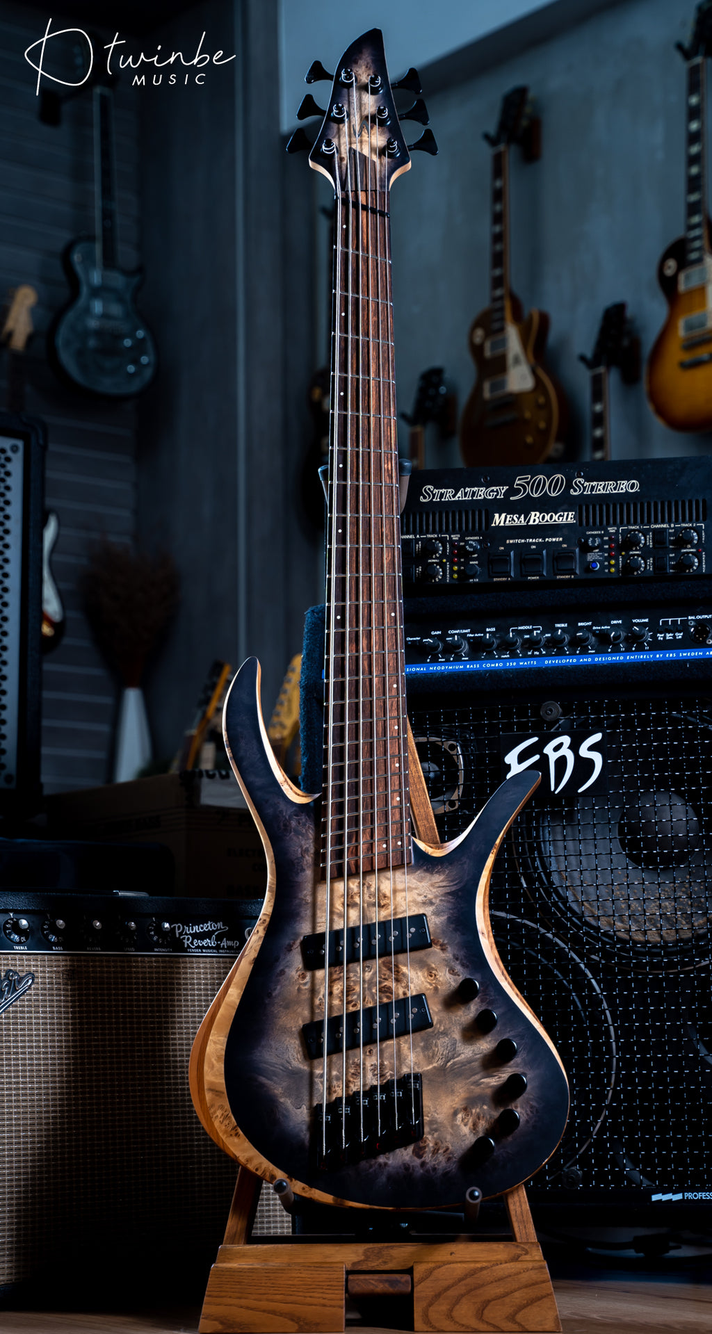 Skervesen Bronto 6 Bass Strings