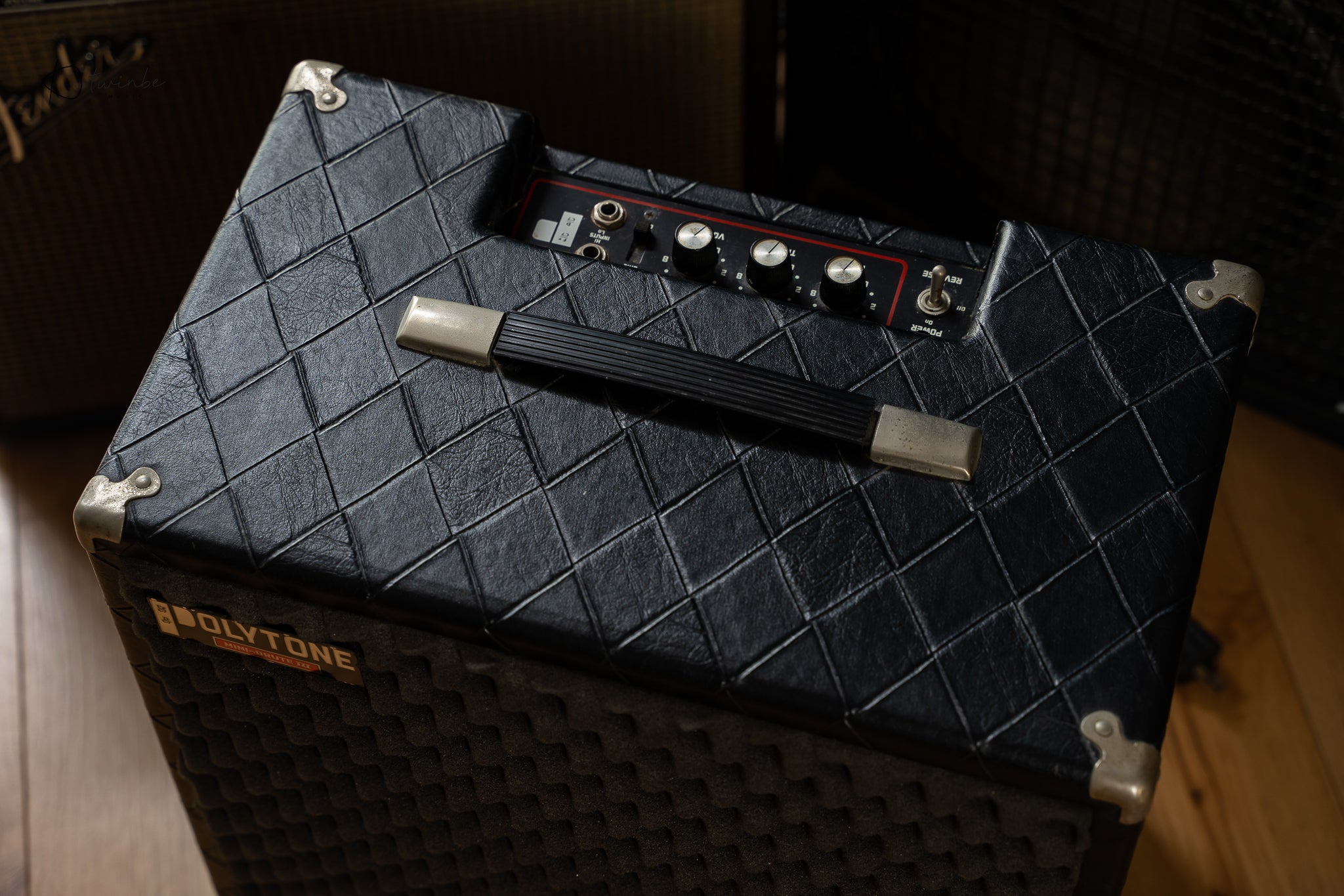 Polytone Mini Brute III