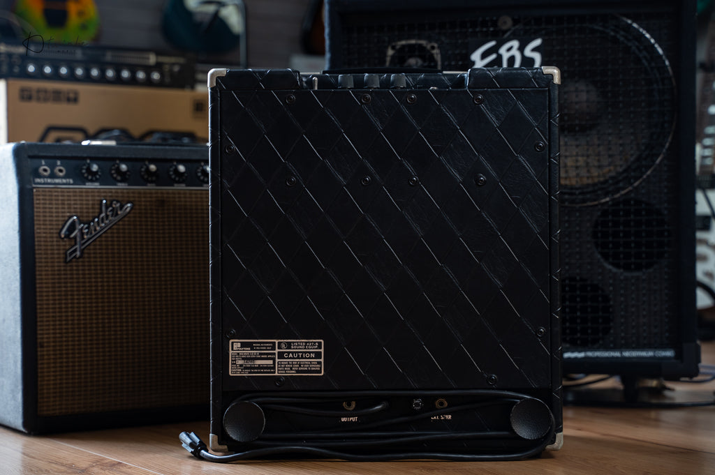 Polytone Mini Brute III