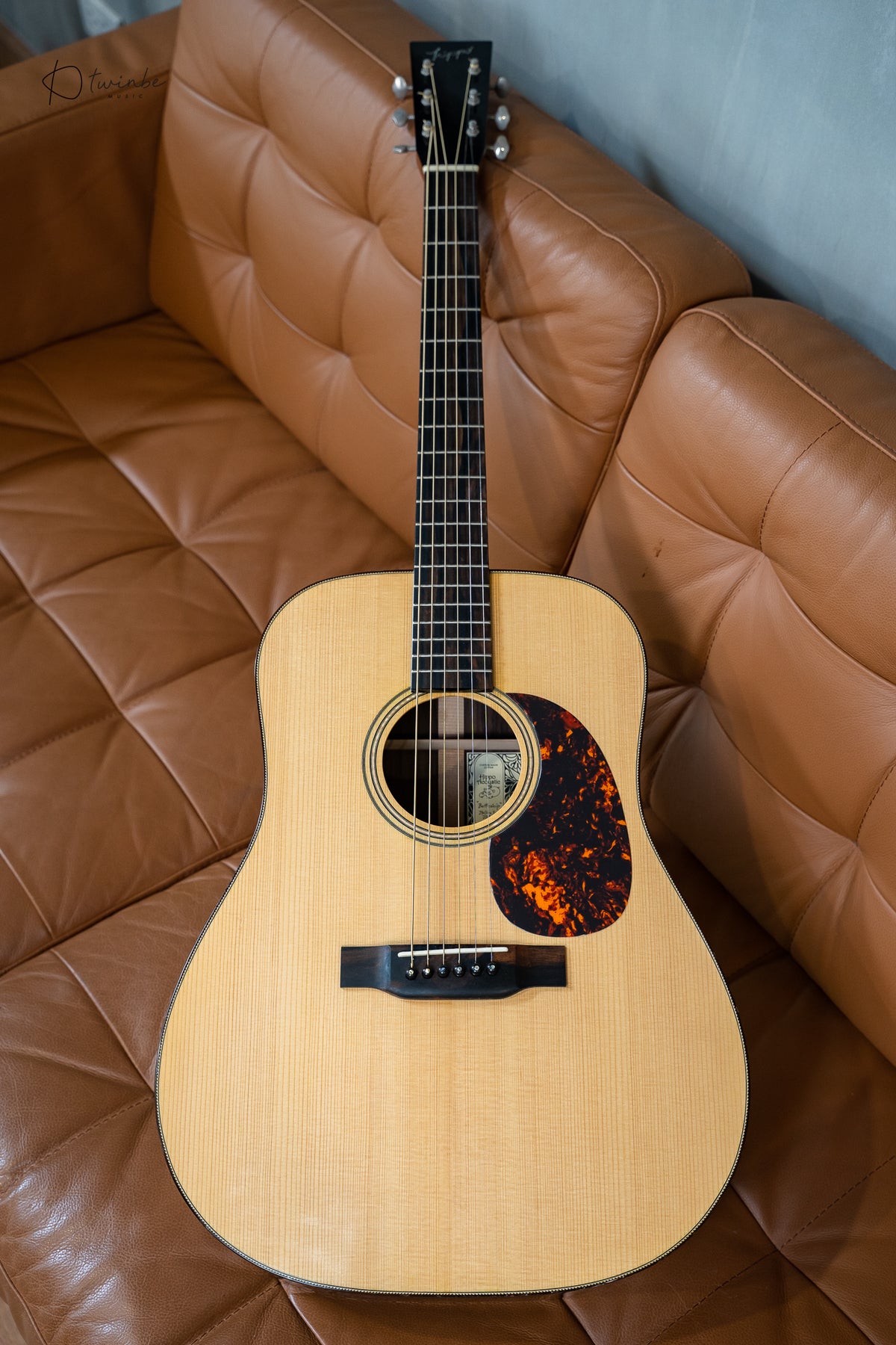 Hippo Acoustic "Battleship"