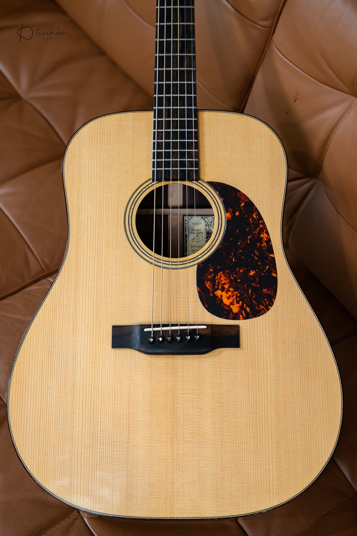 Hippo Acoustic "Battleship"