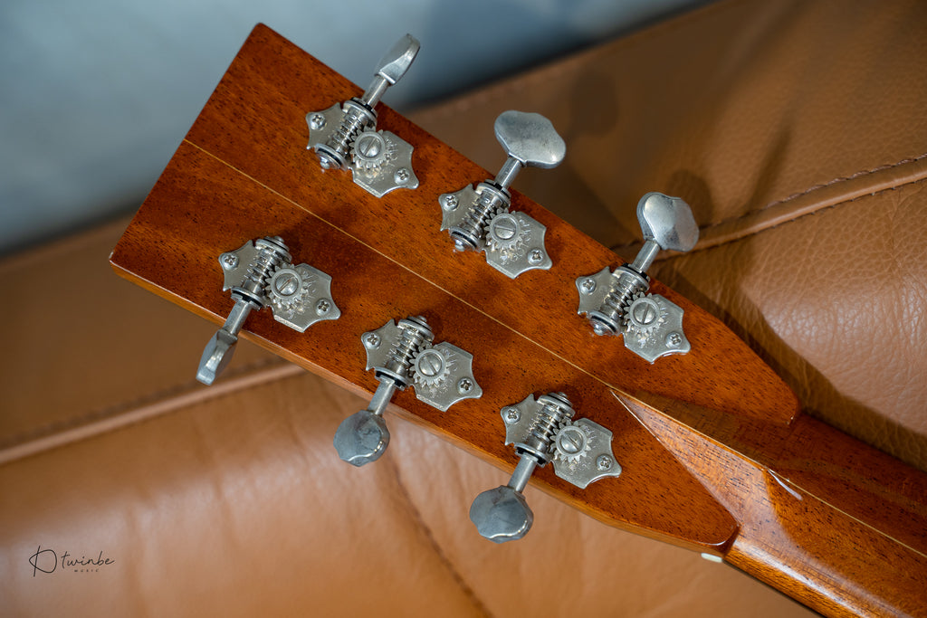 Hippo Acoustic "Battleship"
