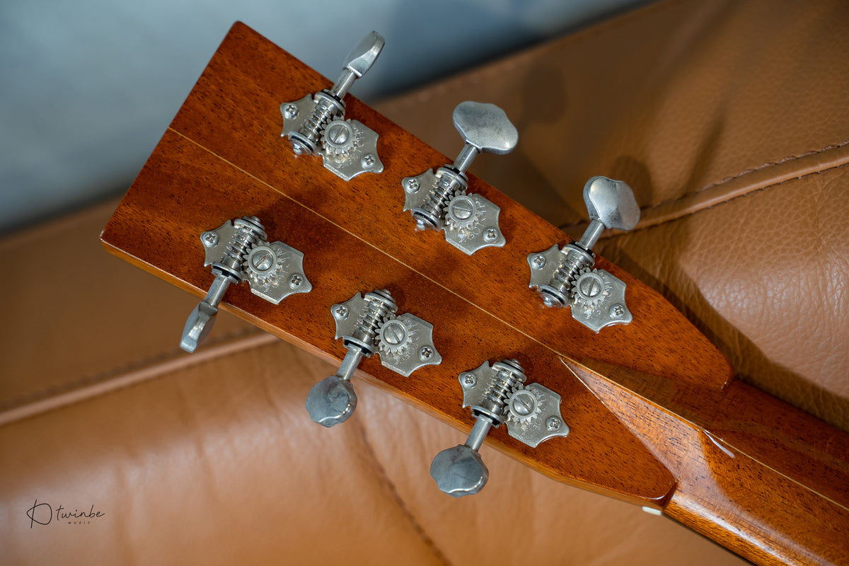 Hippo Acoustic "Battleship"