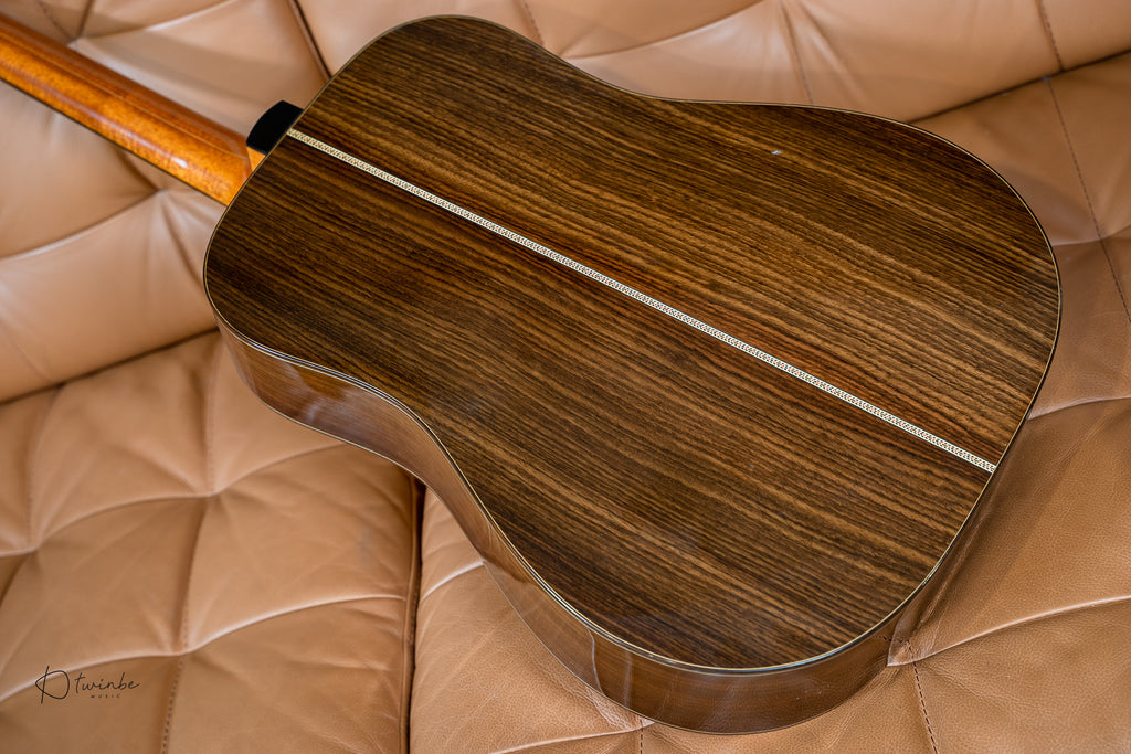 Hippo Acoustic "Battleship"