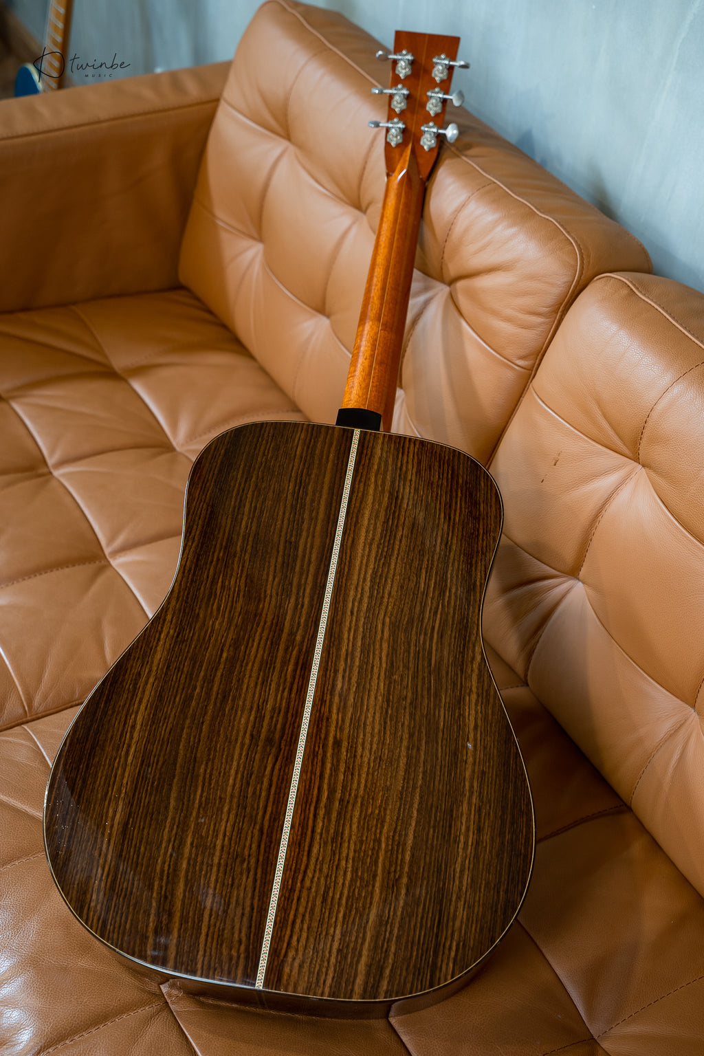 Hippo Acoustic "Battleship"