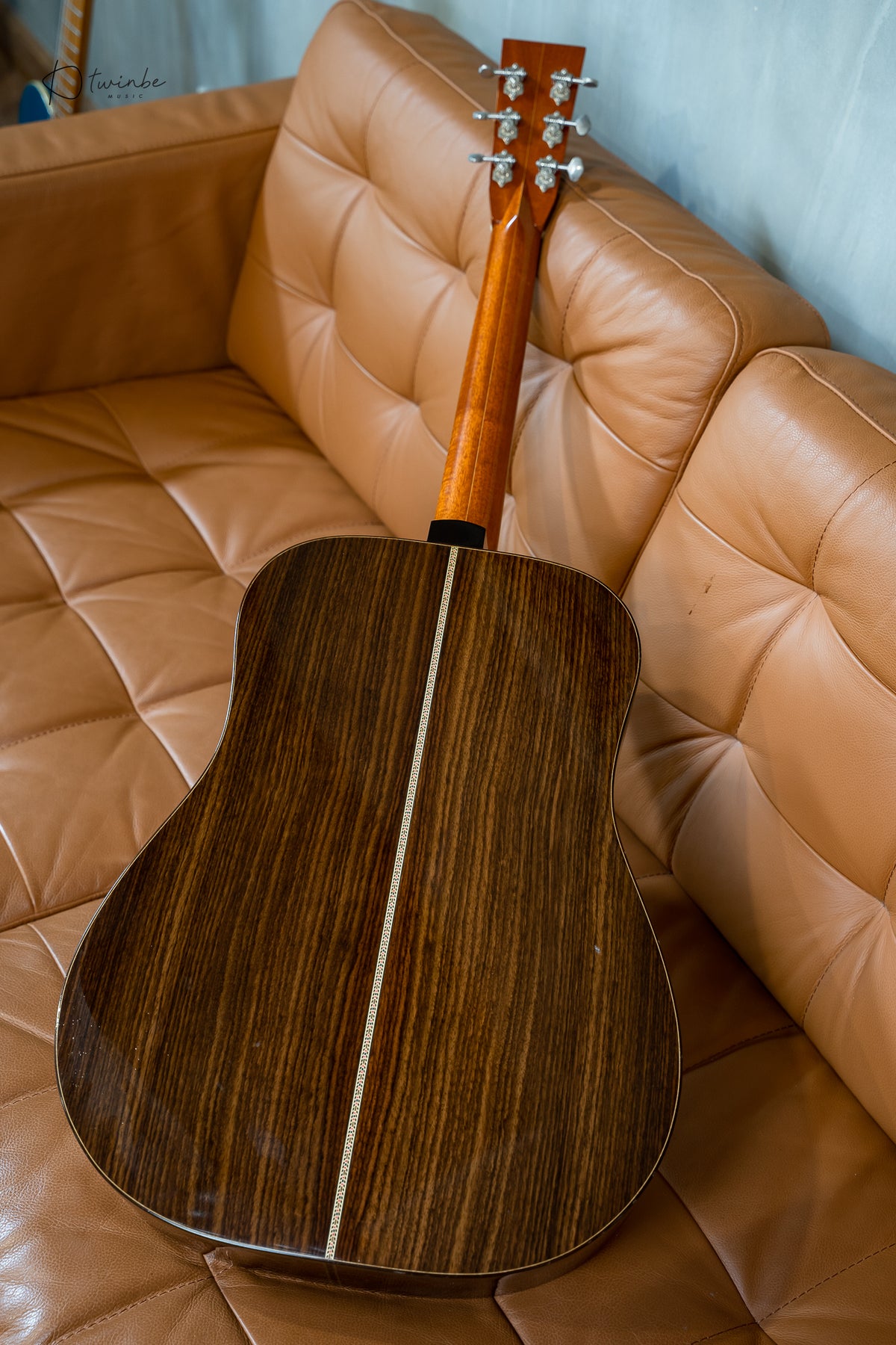 Hippo Acoustic "Battleship"