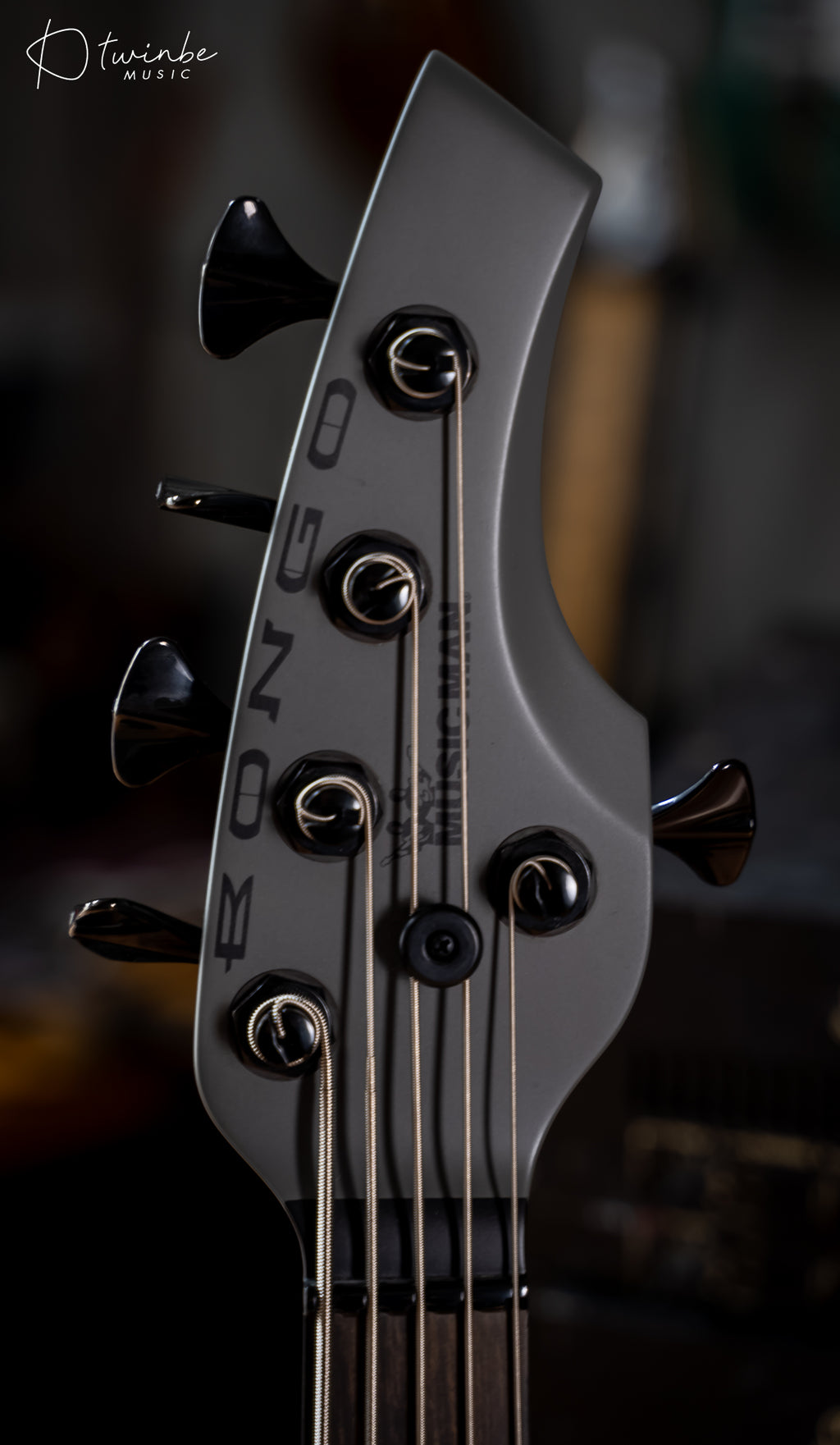 Ernie Ball Music Man Bongo 5 HH Titan Gray