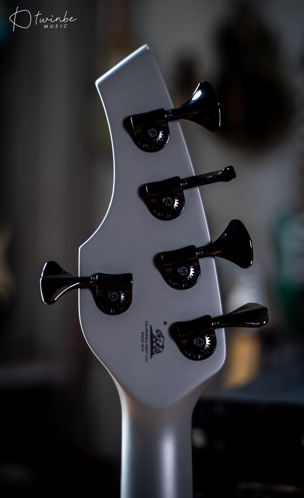 Ernie Ball Music Man Bongo 5 HH Titan Gray