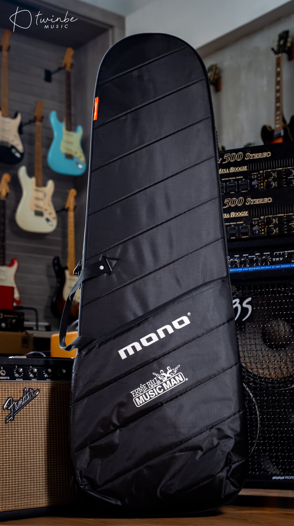 Ernie Ball Music Man Bongo 5 HH Titan Gray