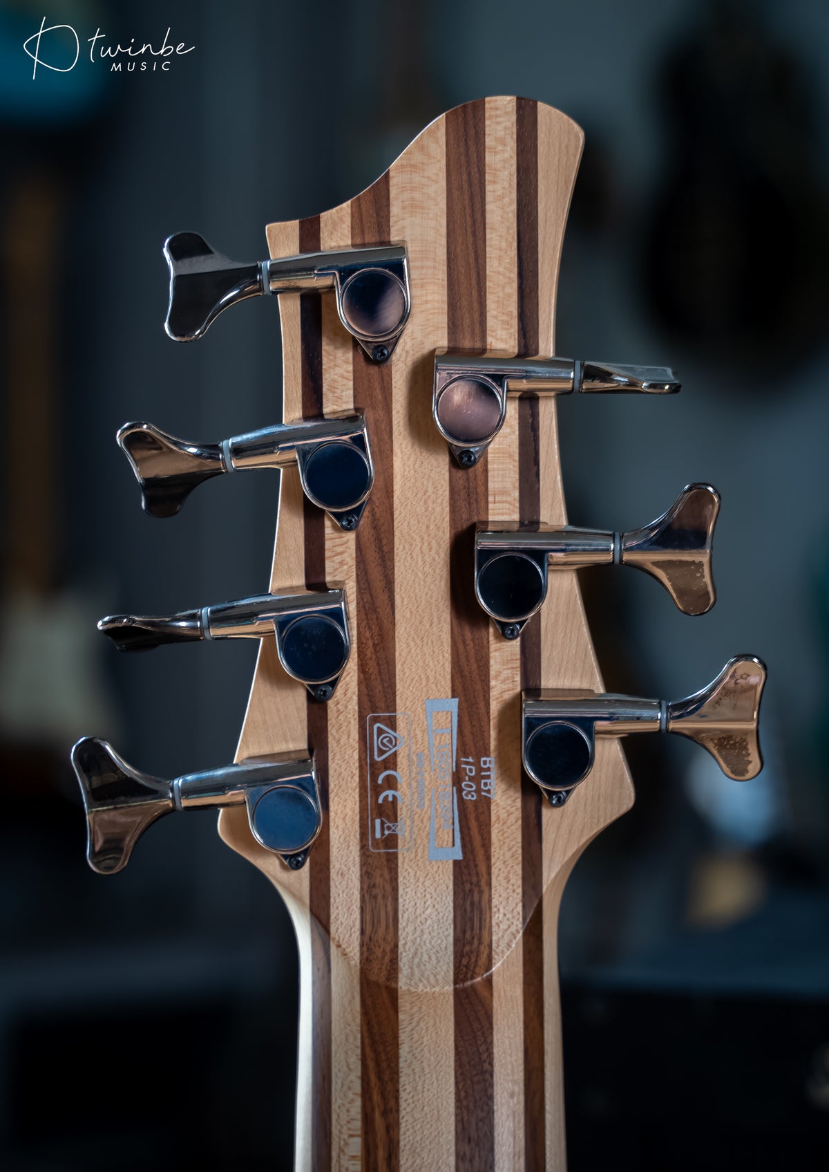 Ibanez BTB7