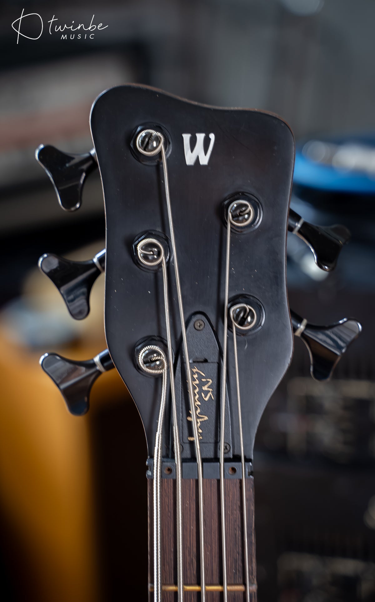 Warwick Infinity SN 5