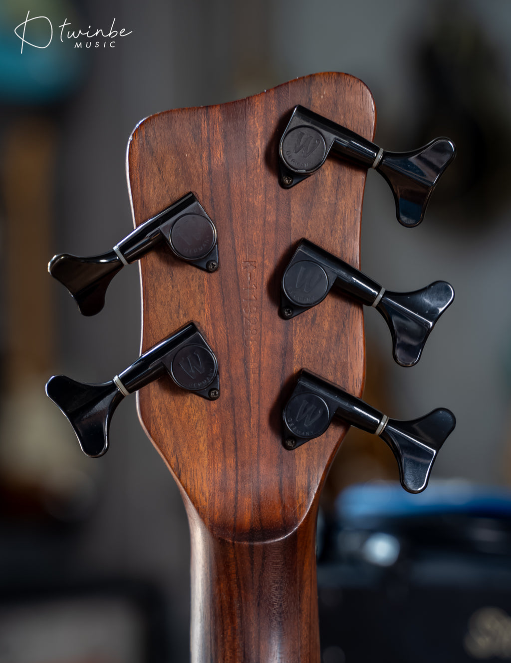 Warwick Infinity SN 5