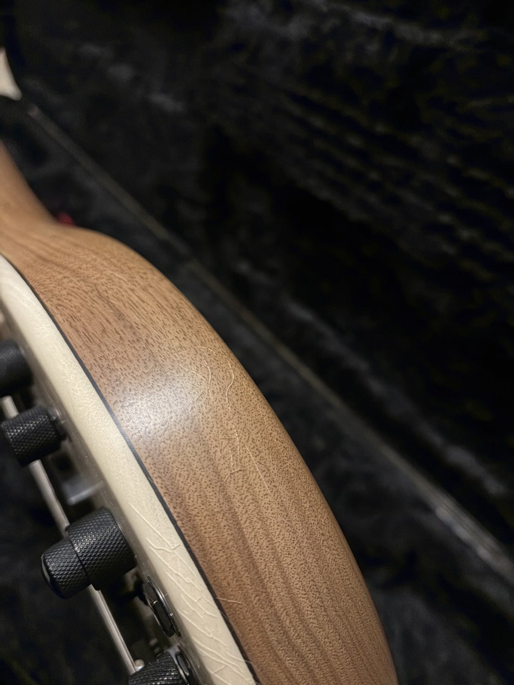 (Pre-Order) Fodera Monarch 5 Standard