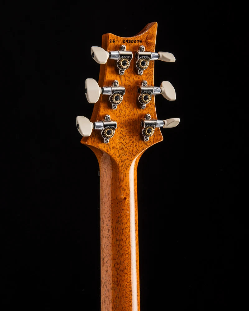 Pre order ! Paul Reed Smith Custom 24 Birds Of A Feather Limited Charcoal Microburst