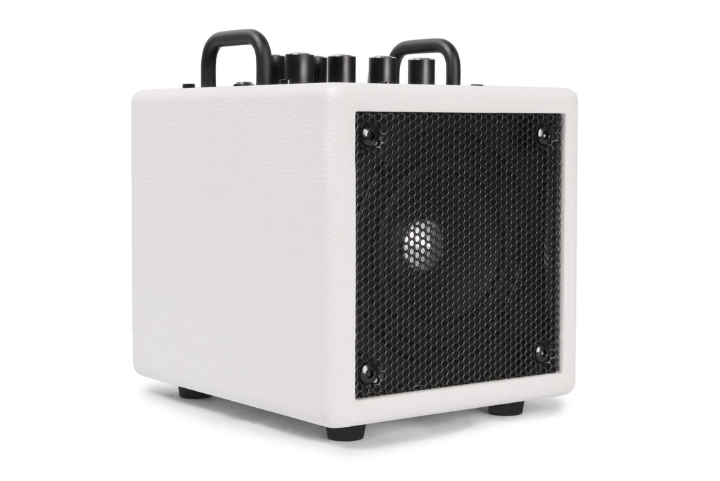 Phil Jones Bass X4 Nanobass Multi-Instrument Combo Amp