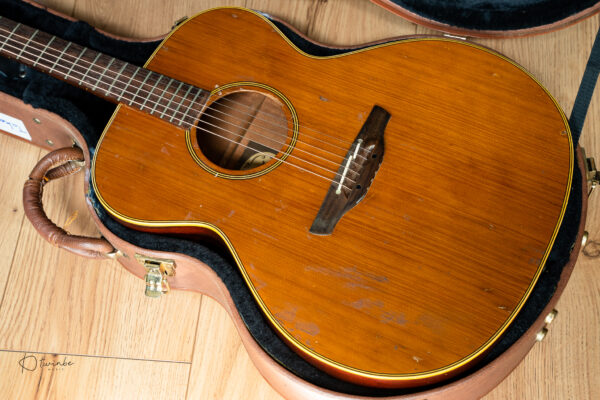 1989 Takamine EN20